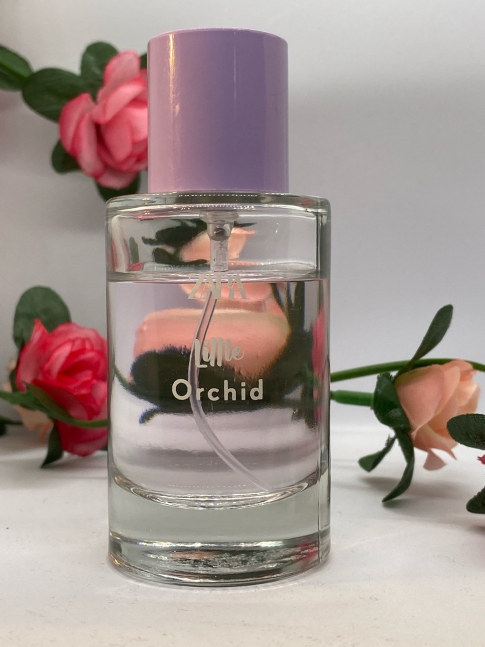 Zara - Little Orchid